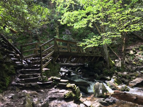 A wooden bridge spans a small stream, surrounded by lush greenery and rocky terrain in a serene forest setting.