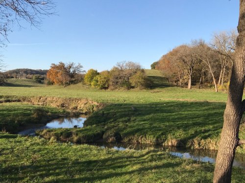 A serene landscape featuring a stream, grassy fields, and trees with autumn foliage under a clear blue sky.