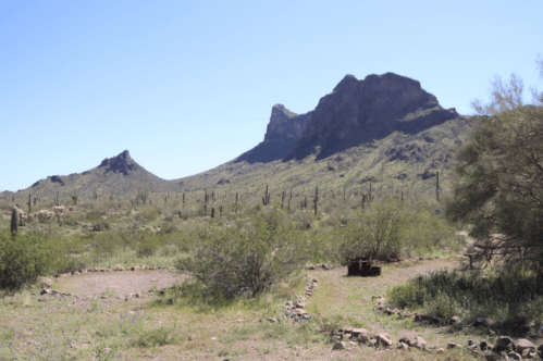 Desert landscape featuring cacti, rocky mountains, and clear blue skies under bright sunlight.