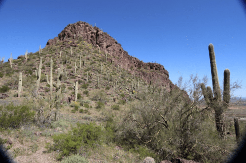 A rocky hillside covered with cacti and desert vegetation under a clear blue sky.