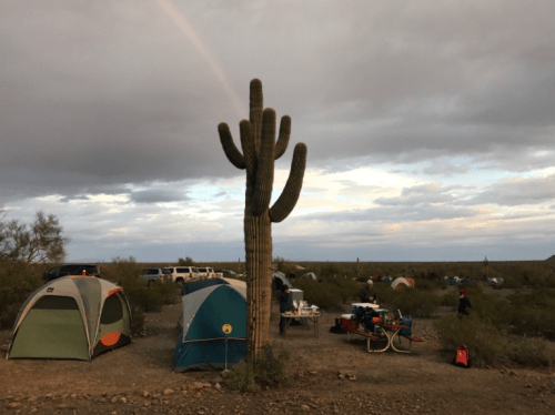 A campsite with colorful tents, a tall cactus, and a rainbow in the sky, surrounded by desert landscape.