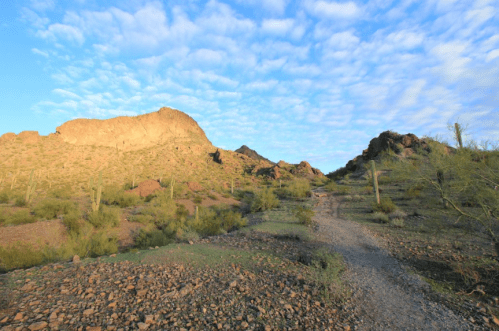 A rocky desert landscape with a winding trail, cacti, and a blue sky dotted with clouds.