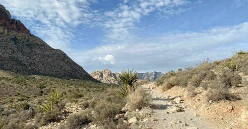 A rocky trail winds through a desert landscape with mountains and scattered vegetation under a cloudy sky.