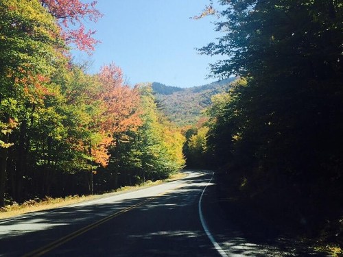 A winding road surrounded by vibrant autumn foliage and mountains under a clear blue sky.