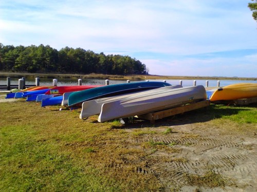 Colorful kayaks lined up on a grassy shore by a calm waterway, with trees and a clear sky in the background.