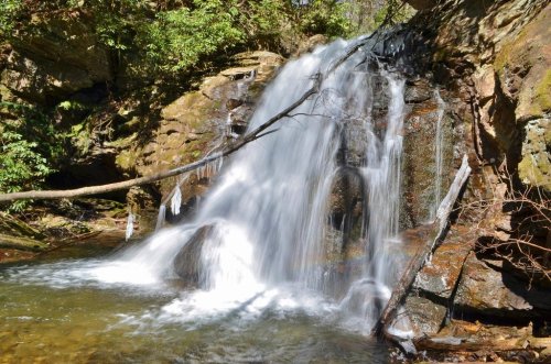 A serene waterfall cascades over rocks into a clear pool, surrounded by lush greenery and tree branches.