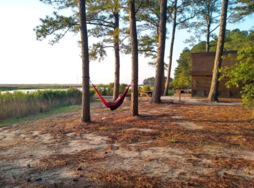 A red hammock hangs between two trees by a calm waterway, surrounded by pine trees and sandy ground.