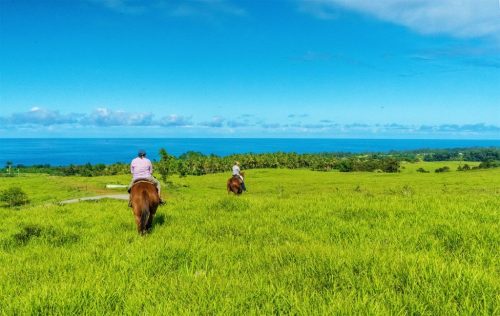 Two riders on horseback traverse a lush green field with a view of the ocean and blue sky in the background.