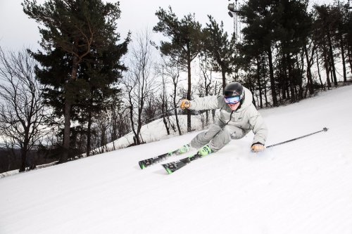 A skier in a gray outfit carves down a snowy slope surrounded by trees on a cloudy day.