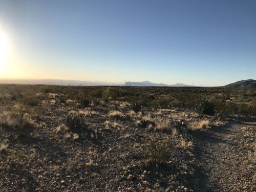 A vast desert landscape under a clear sky, with sparse vegetation and distant mountains in the background.