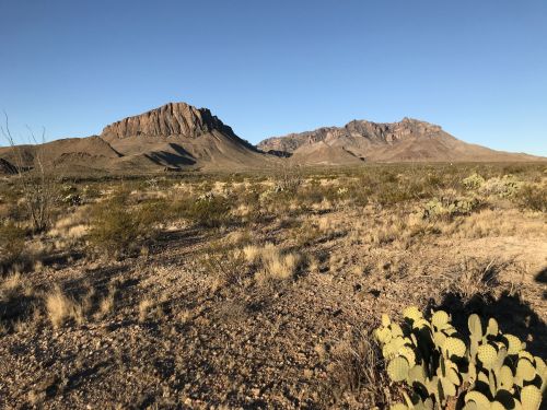 A desert landscape featuring rugged mountains, sparse vegetation, and a clear blue sky. Cacti are visible in the foreground.