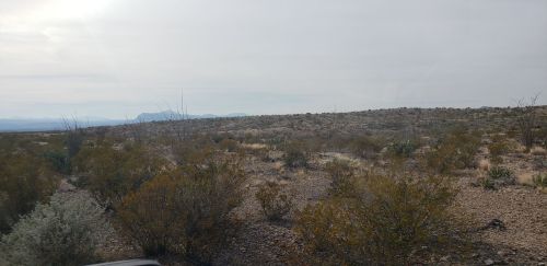 A desert landscape with sparse vegetation, rocky terrain, and distant mountains under a cloudy sky.