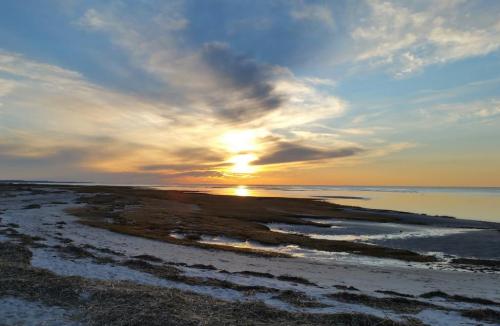 A serene beach at sunset, with soft clouds and golden light reflecting on calm waters and sandy shore.