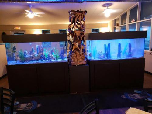 Two large aquariums filled with colorful fish and plants, separated by a decorative wooden sculpture, in a well-lit room.
