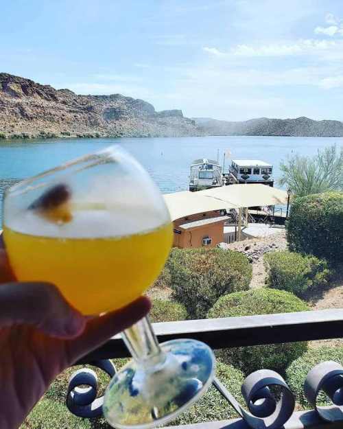A hand holds a glass of orange drink, with a scenic view of a lake and mountains in the background.