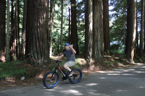 A person riding a bike on a forest road, surrounded by tall redwood trees, smiling and waving.