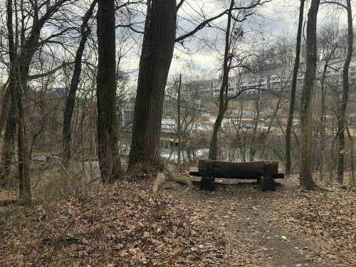 A wooden bench sits on a trail surrounded by bare trees, overlooking a river and distant buildings.