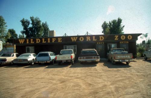 A rustic building with "Wildlife World Zoo" sign, surrounded by parked vintage cars on a dirt lot.