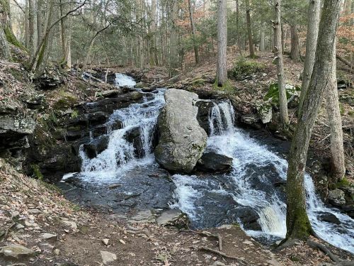 A serene forest scene featuring a cascading waterfall over rocks, surrounded by trees and autumn foliage.