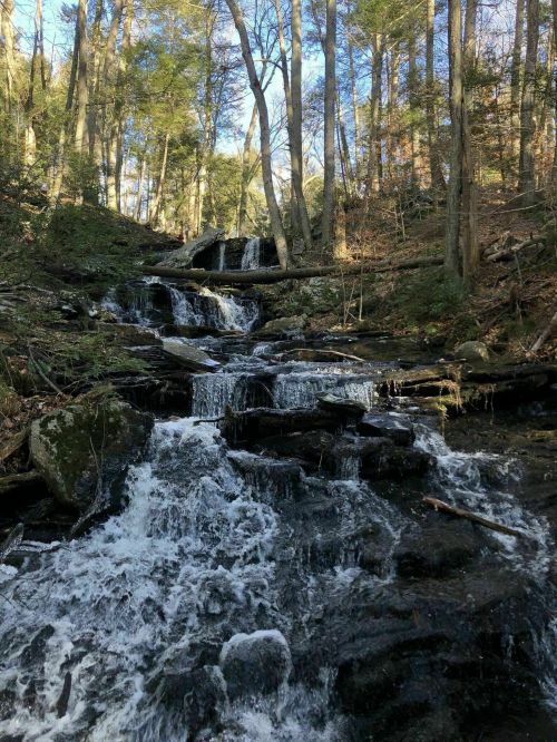 A serene waterfall cascades over rocks, surrounded by lush green trees in a peaceful forest setting.