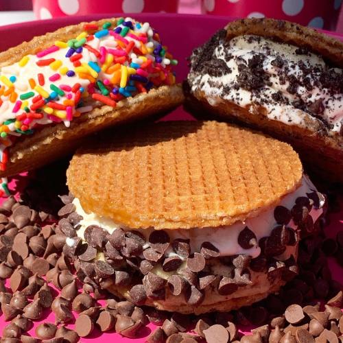 Three ice cream sandwiches on a pink plate, surrounded by chocolate chips. One has sprinkles, another is cookies and cream.
