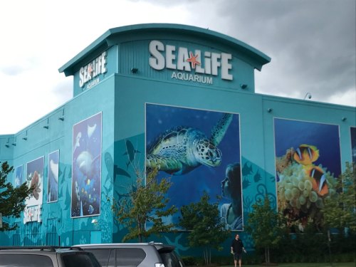 Exterior of Sea Life Aquarium featuring colorful murals of marine life on a turquoise building.