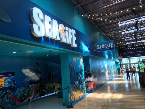 Entrance to SEA LIFE Aquarium, featuring colorful ocean-themed decor and a large sign. Bright and inviting atmosphere.