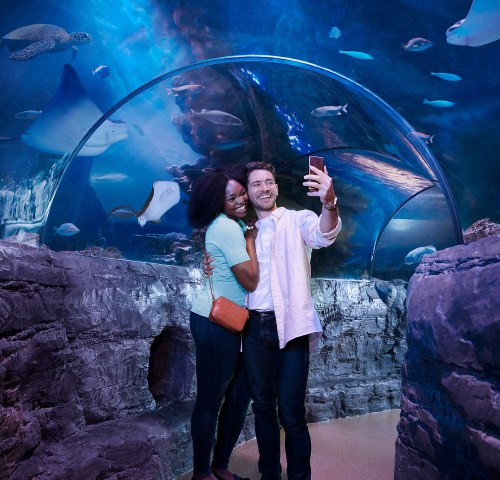 A couple takes a selfie in an aquarium tunnel surrounded by swimming fish and rays.