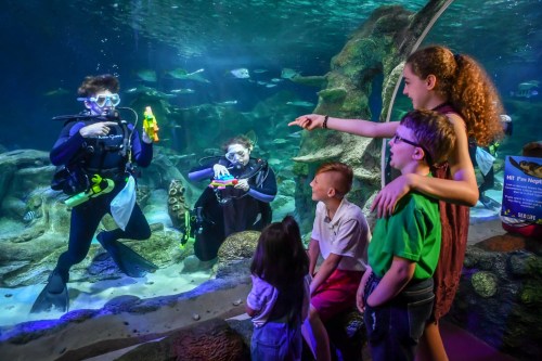 A family watches divers in an aquarium, interacting with them through the glass while colorful fish swim nearby.