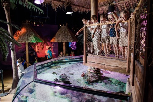 Children observe marine life from a raised platform in a tropical-themed aquarium exhibit.