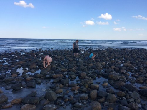 Three people explore a rocky beach at low tide, with waves and a blue sky in the background.