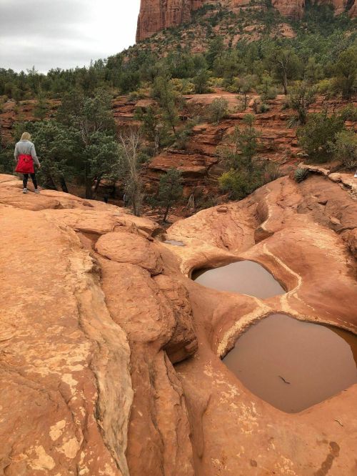 A person stands on a rocky ledge overlooking two small pools of water surrounded by red rock formations and greenery.