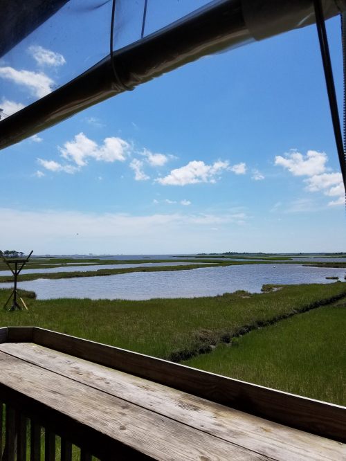 A scenic view of a marshland with water and grassy areas under a bright blue sky with scattered clouds.