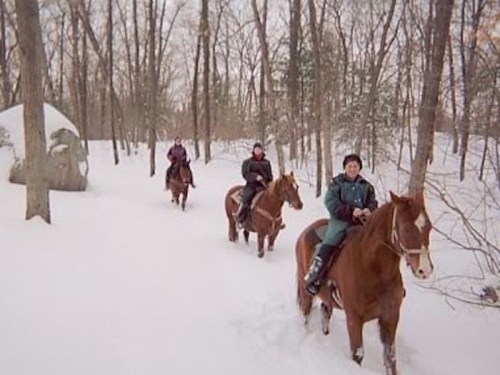 Three riders on horseback navigate a snowy forest trail, surrounded by trees and a large rock formation.