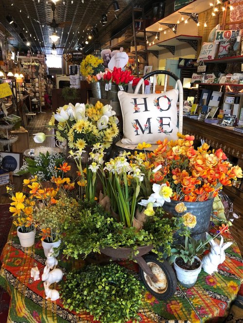 A vibrant display of colorful flowers and plants in a shop, with decorative items and a "HOME" pillow in the background.