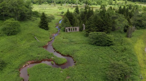 Aerial view of a lush green landscape with a winding stream and a small, abandoned stone structure among trees.
