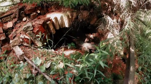 An overgrown, moss-covered brick structure partially hidden by foliage in a forested area.