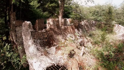 Overgrown ruins of a stone wall with trees and vegetation surrounding it, set in a natural landscape.