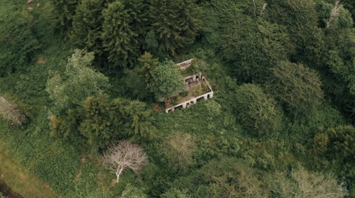 Aerial view of a small, overgrown ruin surrounded by dense greenery and trees.