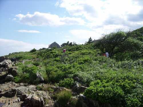 A rocky shoreline with lush greenery and two people walking in the background under a partly cloudy sky.