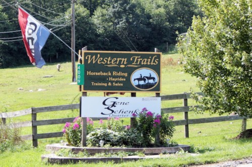 Sign for Western Trails featuring horseback riding, training, and sales, with a flag and flowers in a rural setting.