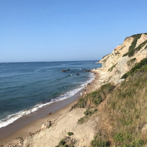 A serene beach scene with gentle waves, rocky shore, and a grassy hillside under a clear blue sky.