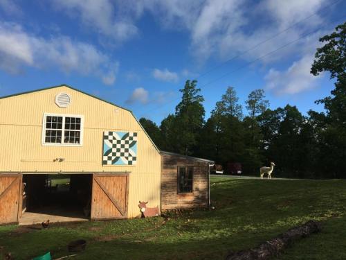 A barn with a quilt pattern, surrounded by green grass and trees, with a llama standing nearby under a blue sky.