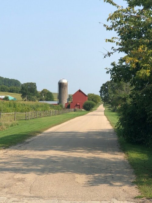 A rural road leads to a red barn and silo, surrounded by green fields and trees under a clear blue sky.