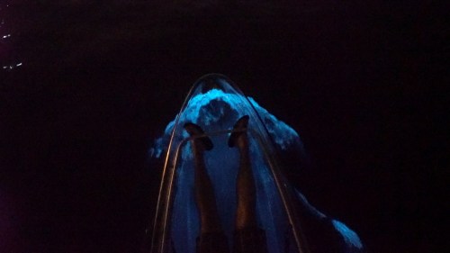 A person's legs are visible on a boat, with glowing blue bioluminescence in the water below at night.