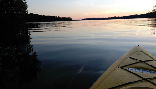 A serene view from a kayak on calm water at sunset, with trees lining the shore in the background.