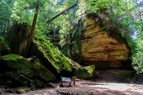 A lush forest scene featuring large moss-covered rocks and a sign in a natural setting. Sunlight filters through the trees.