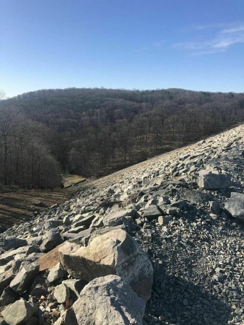 A rocky hillside with sparse trees under a clear blue sky, leading to a distant wooded area.