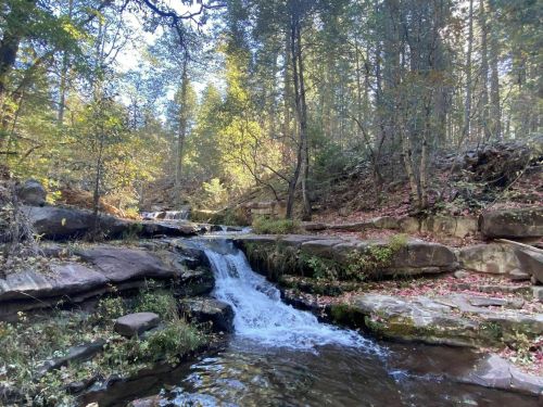 A serene forest scene featuring a small waterfall cascading over rocks, surrounded by autumn foliage and sunlight.