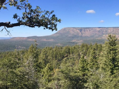 A scenic view of a mountainous landscape with lush green trees under a clear blue sky.